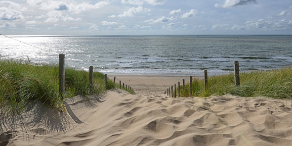 fotowand duinen strand noordzee